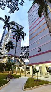 Check out the our work done at 42 telok blangah rise on 2nd project in singapore. Telok Blangah Crescent Rise Home Tourist Photo Essay 7