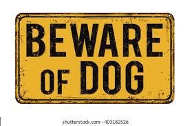 Free printable high quality beware of dogs sign. Beware Dog On Yellow Vintage Rusty Stock Vector Royalty Free 403182526