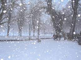 Tripadvisor has 7,497 reviews of neive hotels, attractions, and restaurants making it your best neive resource. Snow Wikimedia Commons