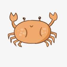Lovely Sea Animal Crab Marine Life Sea Crab Crab Clipart Aquarium Crab Hand Drawn Sea Crab Png Transparent Clipart Image And Psd File For Free Download Sea Animals Sea Crab Crabs