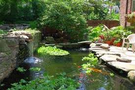 Penting Pertimbangkan Bahan Pembuat Kolam Ikan Halaman All Kompas Com