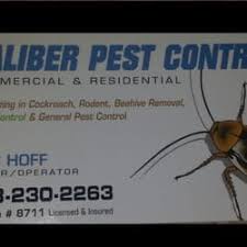 Our pest control company is on target to expand by over 13% this year making us one of the ten. Top 10 Best Pest Control Near Topock Az 86436 Last Updated April 2020 Yelp