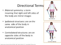 I'm quite certain, also, that the optic chiasm has deteriorated somewhat due to a weak ipsilateral component. Ipsilateral Definition Anatomy Anatomy Drawing Diagram