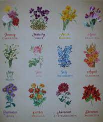 Flowers for each month of year. Hunkydory Clear For The Love Of Stamp Set Birth Flowers Months Of The Year 5052339026287 Ebay Birth Flowers Birth Flower Tattoos Tattoos For Kids