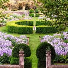 Https Www Facebook Com Sermujer Plenitud 1 Boxwood Landscaping Boxwood Garden Low Maintenance Garden Design