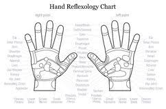 Hand Reflexology Chart Description Outline Stock Vector