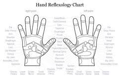 hand reflexology chart description outline stock vector