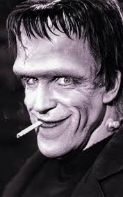 Fred Dibnah I've always wondered where the television producer first saw  Fred as I was one of the best decisions he had made to film his work going  up and repairing chimneys.