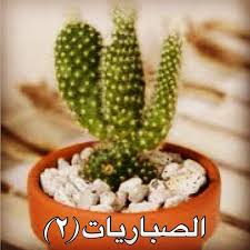 ٢ ليس من المفضل ابدا وضع الصبار داخل المنزل وان كان لابد من ذلك فيفضل ان يكون صغير الحجم بجانب الاجهزه الكهربائيه مثل الكم Fung Shui Feng Shui Decorating Tips