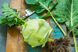 Je trouve qu'elle est idéale comme recette automnale. Semer Et Planter Les Choux Raves Gamm Vert