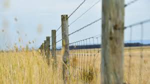 Wooden fence rails 1 need repair or replacement when they have pulled loose from the fence. Replace A Farm Fence How To Choose The Right Posts And Wire The Weekly Times