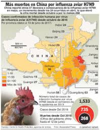 Los virus de influenza aviar pueden llegar a afectar a los mamíferos, incluidos los seres humanos, por lo general después de un. China Generacion De Virus De La Gripe Aviar Infographic