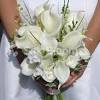 Calla lily is a beautiful flower with a large funnel or trumpet shaped head that is great for mothers day flowers, boutonniere, wedding decoration ideas, flower arrangements, happy birthday flowers, wedding bouquets, wedding centerpieces, and much more. 1