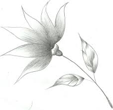 En dibujos faciles aprenderas a dibujar como experto en un mundo lleno de color y magia con material lindo y gratis. Pin En Motivacion