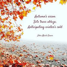 I Know Spring Is Almost Upon Us But Here S An Autumn Haiku Anyway Poetry Tea Time Haiku Poetry Tea