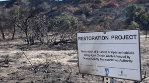 Check spelling or type a new query. In Wake Of Oc S Silverado Fire Which Native Plants Will Rebound And Which Will Need More Help