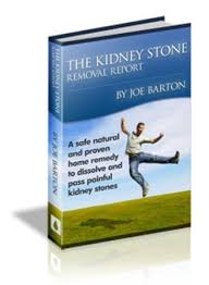 Kidney Stone Removal Report Pdf Free Download Kidney Stones Kidney Stones Remedy Health Fitness Book