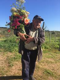 It drinks only nectar from the flowers and carries the. The Launch Of A Flower Shop That Gives Hope To The World Human Connections Made Through Flowers Tokion