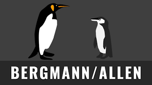 Bei (gleichwarmen) tieren ist die relative länge & größe der körperanhänge (extremitäten. Bergmannsche Allensche Regel Einfach Erklart Selektionsfaktor Temperatur Biologie Abitur Youtube