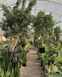 Family owned and operated retail nursery & garden center in franklin, tn. Hewitt Garden And Design Center