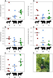 Omnivore definition, someone or something that is omnivorous. Nutritional Values For Carnivore Omnivore And Herbivore Dung Left To Download Scientific Diagram