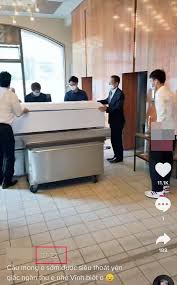 #thanhnienonhat #saigondaily #tythy thanh niên bị dìm chết ở nhật khiến ty thy xót xa lên tiếng. Cgthrdnozyyqrm