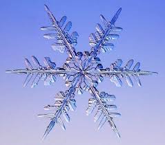 The Unbelievable World Of Snowflakes Snowflakes Real Snowflakes Snow Crystal