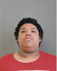 ᐅ Illinois Criminal Records 2009-2025