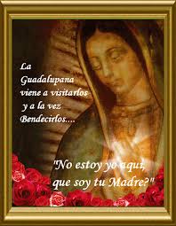 Virgen de guadalupe, también conocida como nuestra señora de guadalupe, como popularmente se le conoce. Https Encrypted Tbn0 Gstatic Com Images Q Tbn And9gcs98jnjscm0lnytjntq9bvgx2y5d3ybgugvjw Usqp Cau