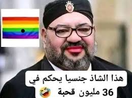 الهداف