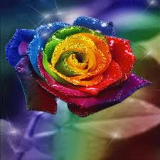 Amazon Com Rainbows Roses Live Wallpaper Appstore For Android ✓ free for commercial use ✓ high quality images. rainbows roses live wallpaper appstore