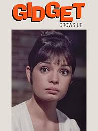Gidget Grows Up (TV Movie 1969)
