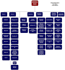 Organizational Chart Operation