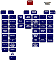 organizational chart operation