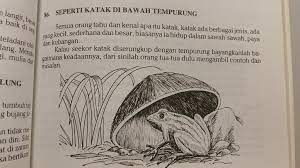 Bagai katak dalam tempurung apabila dilihat di dalam kamus besar bahasa indonesia artinya orang yang bodoh/berwawasan sempit/picik tetapi merasa dirinya paling mengetahui segalanya. Kolokium 37 On Twitter Kolokium37 Membawa Tema Komunikasi Malaysia Katak Di Bawah Tempurung Sama Sama Kita Nantikan Kupasan Pada 18 Nov Ini Cakna Peribahasa Https T Co Icxeadm2po