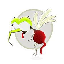 Roya Asgari Mosquito Character Download mosquito cartoon images and photos. roya asgari