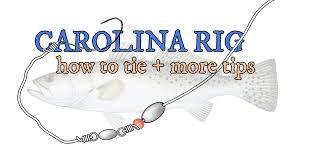 But, it's usually just a quick mention between the rod and the lure they're using. Carolina Rig Instructions For Speckled Trout Redfish Flounder