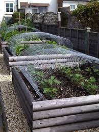 pin by piera sartori on vegtable garden vegetable beds raised vegtable garden vegetable garden