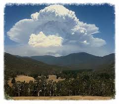 Pyrocumulus cloud near Timbarra, Victoria - Wildfire Today