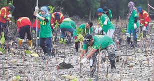 Perkembangan bahasa mencerminkan perkembangan kemajuan peradaban masyarakat pendukungnya. Pulihara Ekosistem Paya Pantai