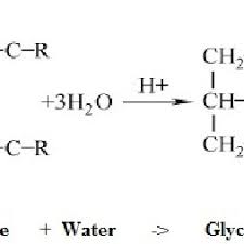 Ca sunt normale, iar pdw scazut nu pune probleme, chiar arata uniformitatea in dimensiuni a trombocitelor. The Hydrolysis Reaction Of Vegetable Oils 20 The Hydrolysis Reaction Download Scientific Diagram