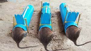 Pvc water pipe mouse/rat trap/homemade mouse trap work easy saving a lot of mice #bestelectricmousetrap #mousetrap #mousereject. How To Make Rat Mouse Trap Using Pvc Pipe Youtube