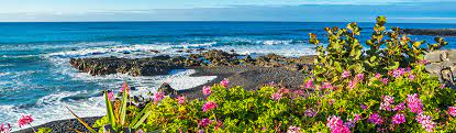 La gomera aktivitäten, la gomera sehenswürdigkeiten, la gomera strände, la gomera landschaft #lagomera #kanaren #urlaub #tipps #kanarischeinseln #reisetipps #insidertipps #geheimtipps. Urlaub In Puerto De La Cruz Ewiger Fruhling Berge Meer