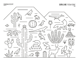 Some of the worksheets for this concept are hohokam canal systems work, a walk in the desert, , name desert tortoise, plant distribution in a sonoran desert city, desert island survival activity, arizona, desert survivor team building exercise desert survival. Biomes Sonoran Desert Coloring Page Coloring Pages Free Printable Coloring Pages Fruit Coloring Pages