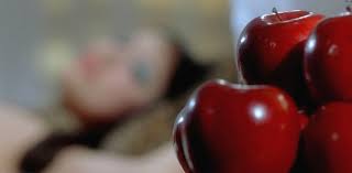 The main sections of the site: Criterion Collection On Twitter That Whole Scene And The Scene After Including The Apple Shot You Mention Were Directly Inspired By Camille 2000 I Also Used Some Of The Music From That