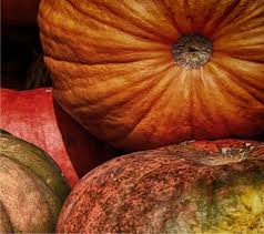La zucca fresca si può conservare in frigorifero, per massimo 72 ore. Come Conservare La Zucca Orto Da Coltivare