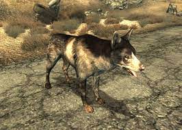 With this perk, one of dogmeat's that pup can be added as a companion either by finding dogmeat's pup at the location of his death. Dogmeat Fallout 3 Fallout Wiki Fandom