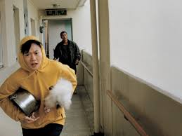When people hear it they singet the song barking. Barking Dogs Never Bite Review Bong Joon Ho S Canine Satire Has Teeth Bong Joon Ho The Guardian