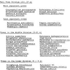 Image result for Rytigynia sp. M