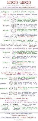 Mitosis And Meiosis Mcat Cheat Sheet Study Guide Learn What Happens In Each Step Prophase Metaphase Anaphase Telophas Teaching Biology Biology Mcat Study